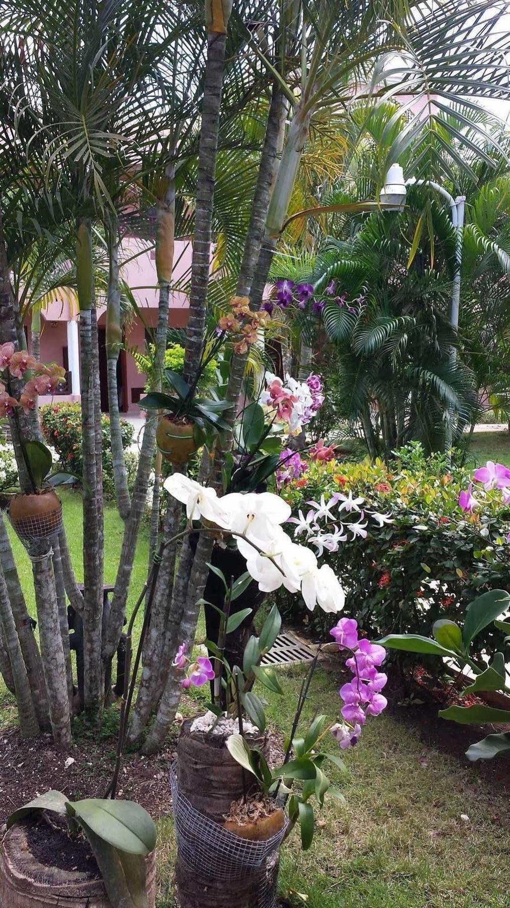Soficu Hotel El Eden Dominicus Bayahibe Εξωτερικό φωτογραφία